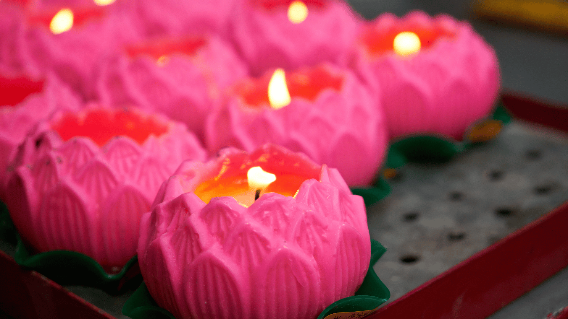 The Nirvana Funeral Service Experience: Dignity, Comfort & Peace of Mind