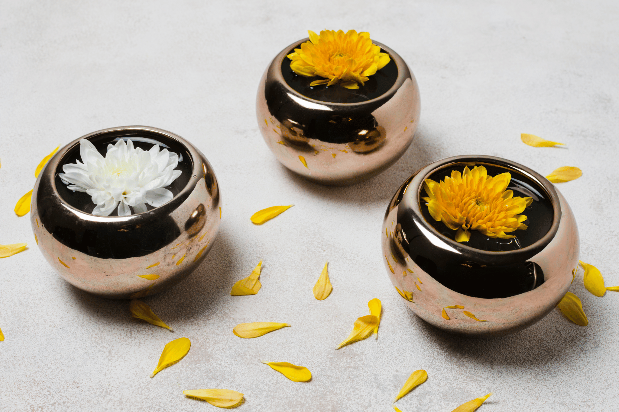 From Ashes to Memories – A Gentle Guide to Cremation Singapore