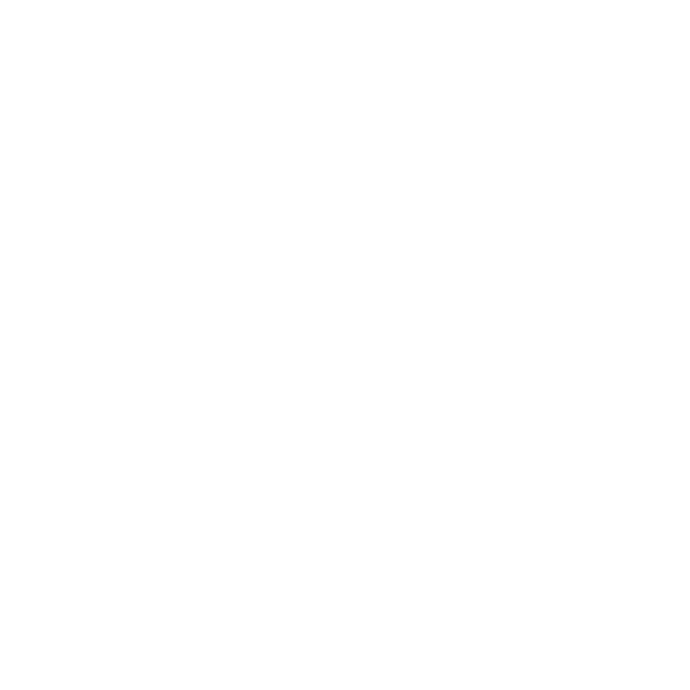 Funeral vehicles icon