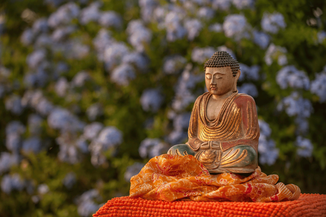 When You Don’t Know Where to Start — Let Nirvana SG Handle It All for You