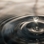 Worried About Funeral Expenses? Here’s How Nirvana SG Keeps Costs Clear and Manageable