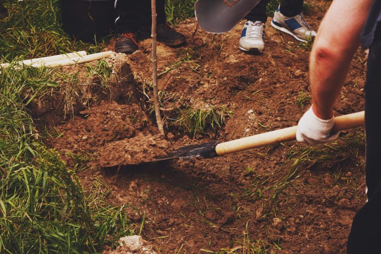 Grave Exhumation & Relocation in Singapore