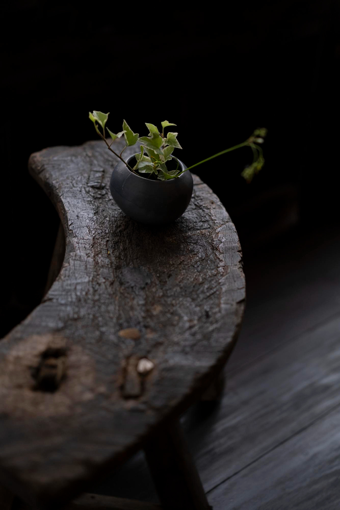 Small black planter on a rustic wooden bench